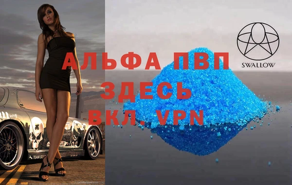 СК Богородицк