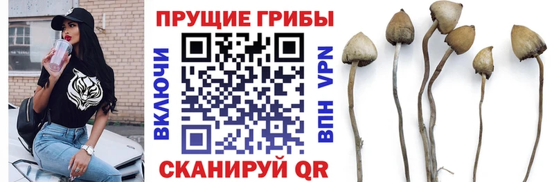 наркота  Якутск  Галлюциногенные грибы мухоморы 